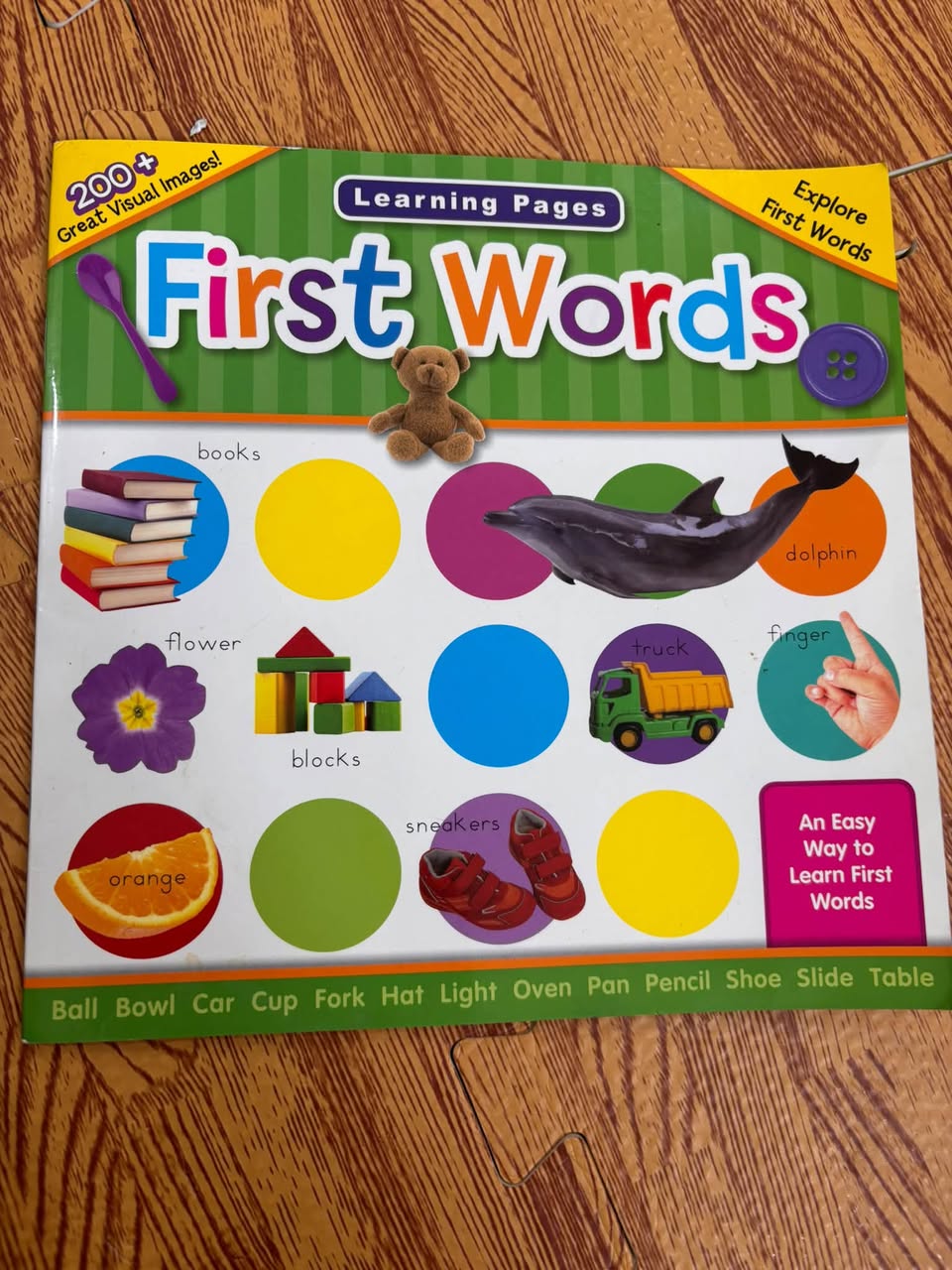 LEARNING PAGES: FIRST WORDS (200+ GREAT VISUAL IMAGES) — ảnh 1