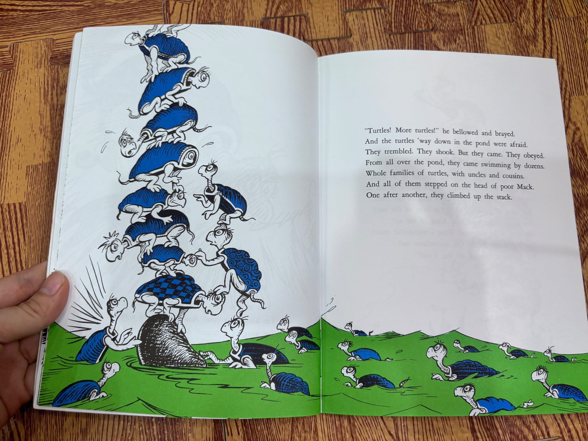 YERTLE THE TURTLE AND OTHER STORIES — ảnh 5