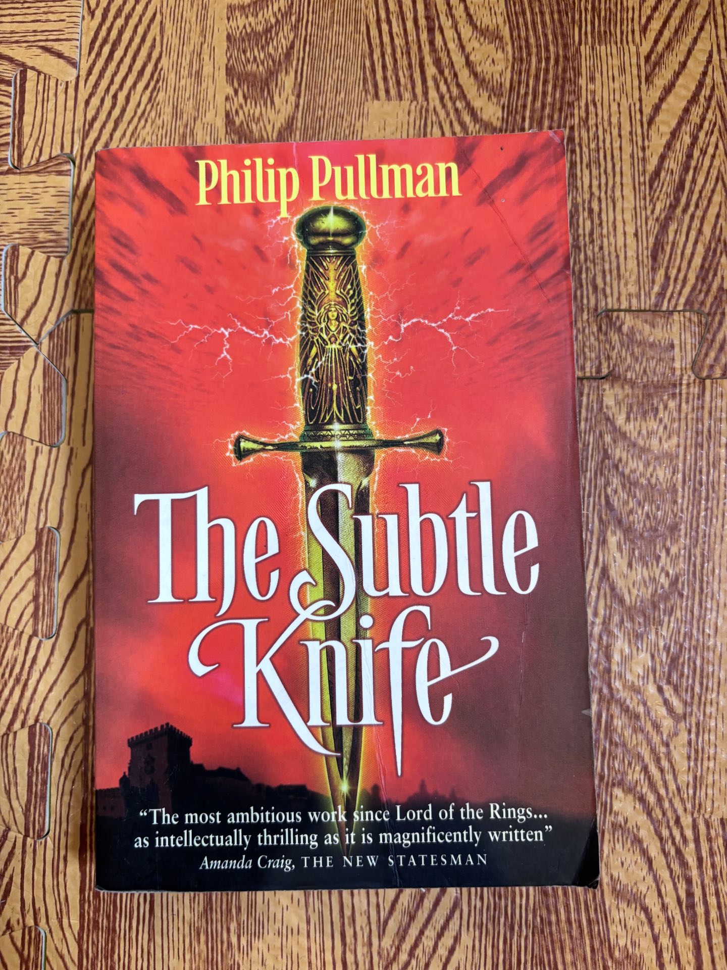The Subtle Knife — ảnh 1