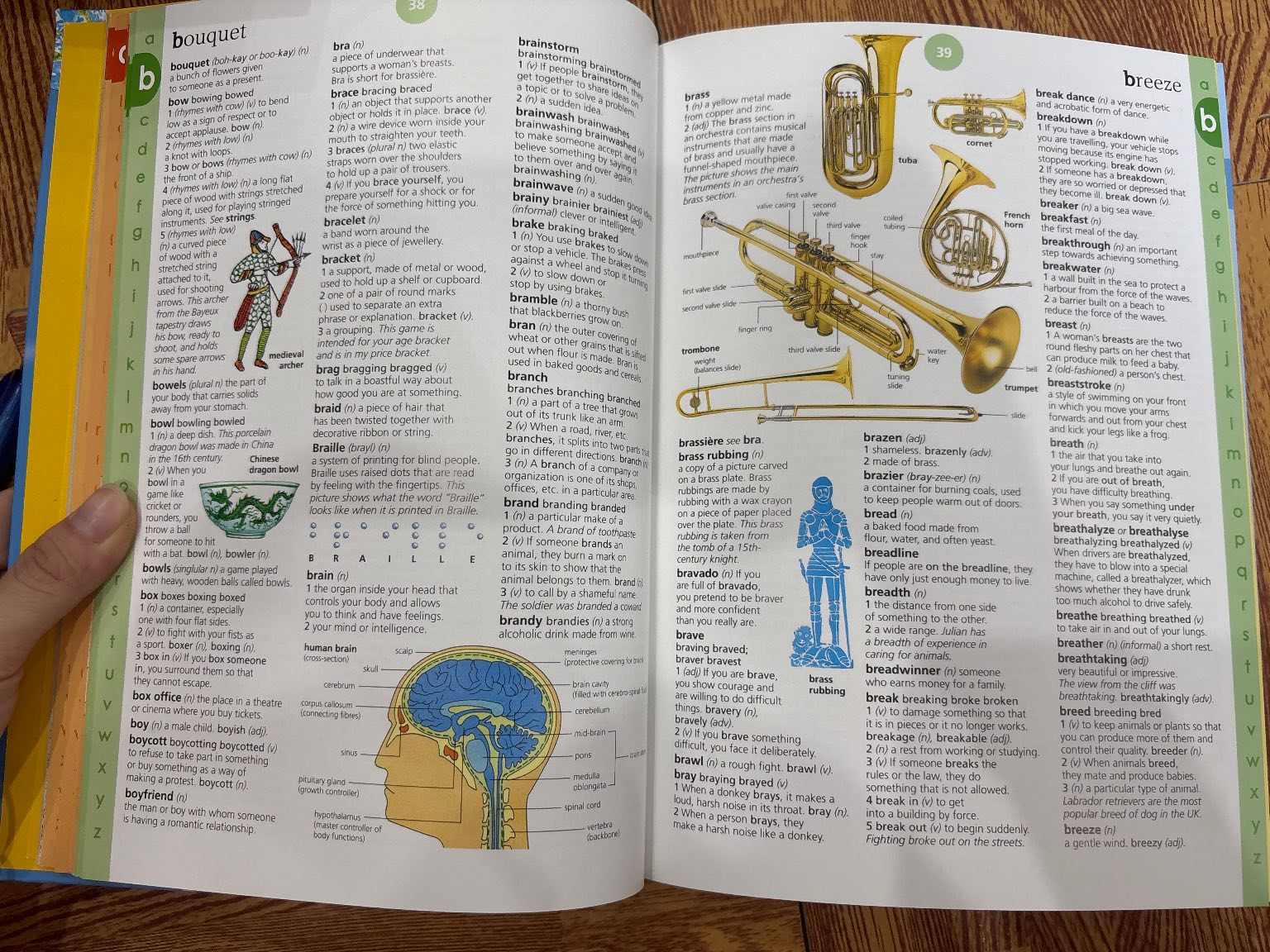 Usborne Illustrated English Dictionary — ảnh 3