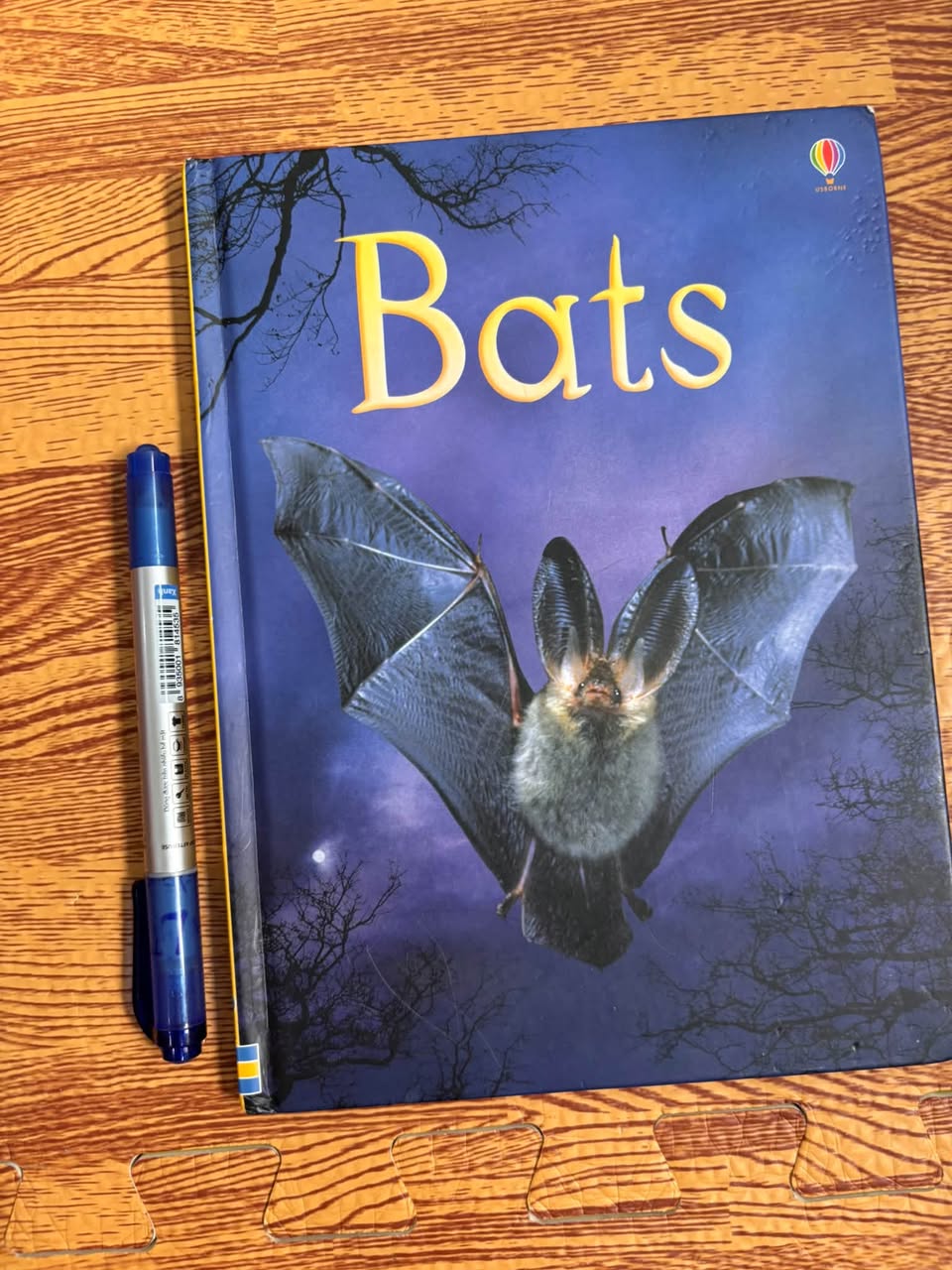 BATS (USBORNE BEGINNERS) — ảnh 1