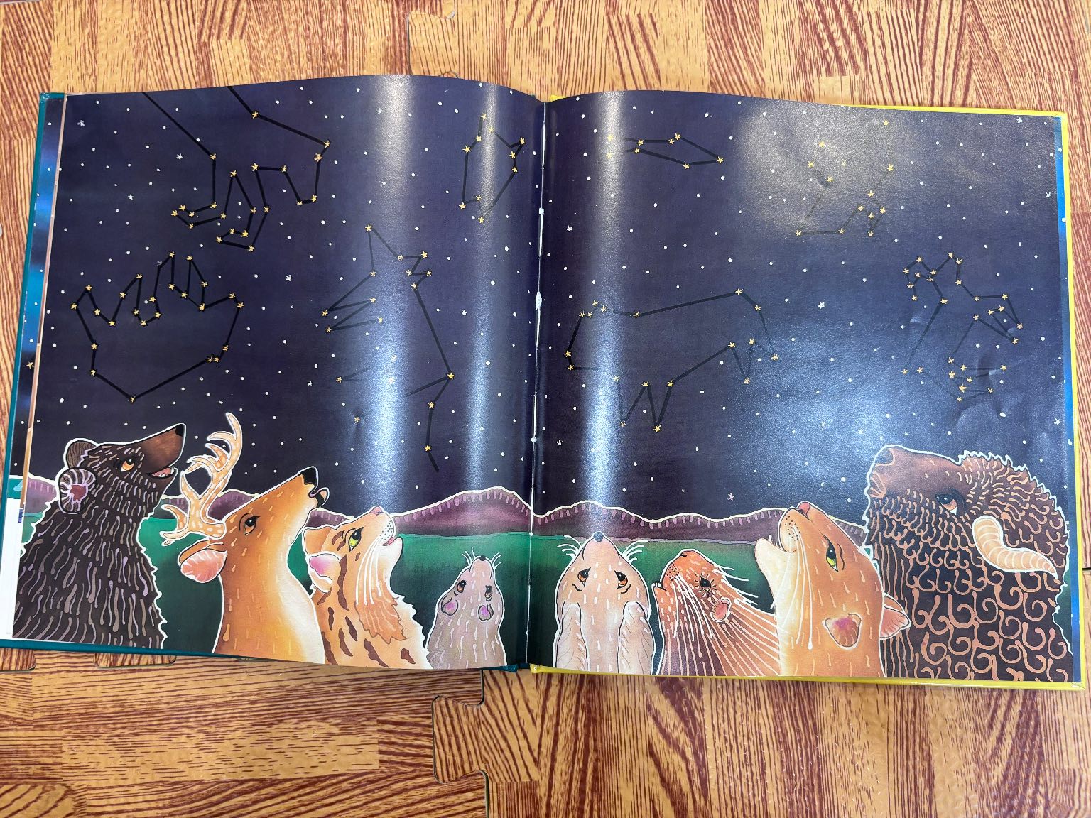 Coyote Places the Stars — ảnh 5