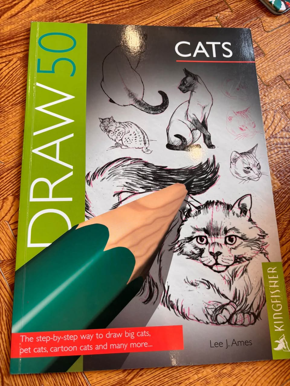 BỘ SÁCH DẠY VẼ: DRAW 50 SERIES (LEE J. AMES - KINGFISHER) — ảnh 3