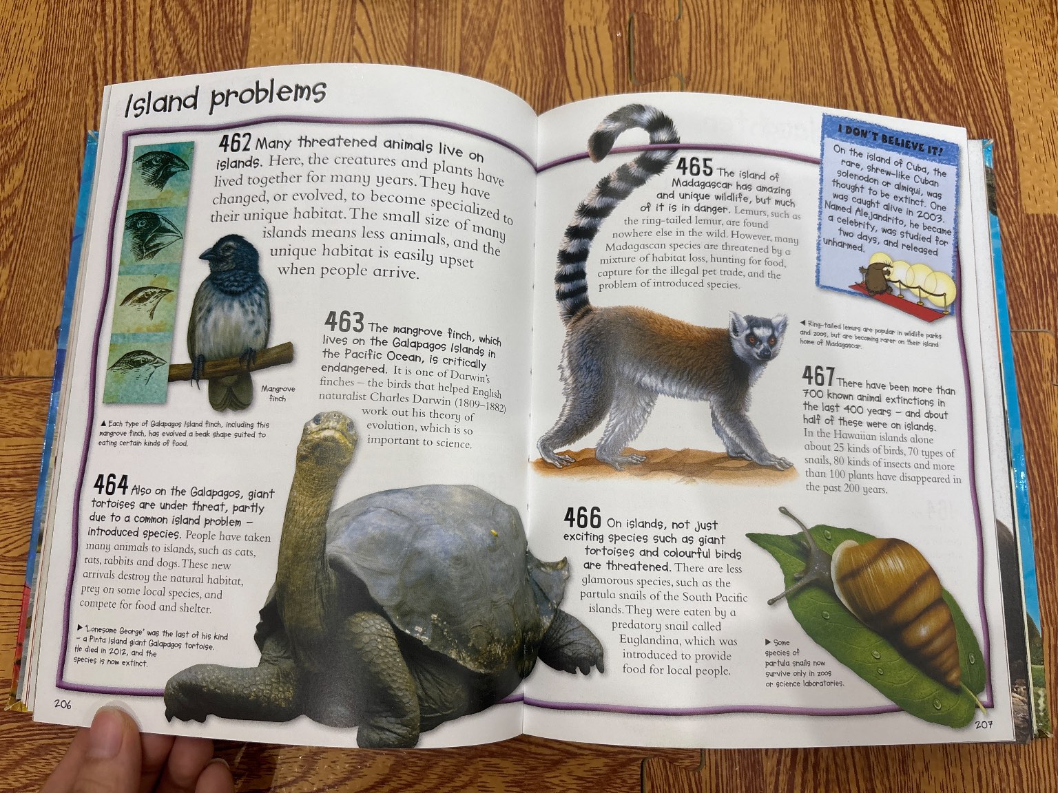 Fantastic Animal Facts — ảnh 6
