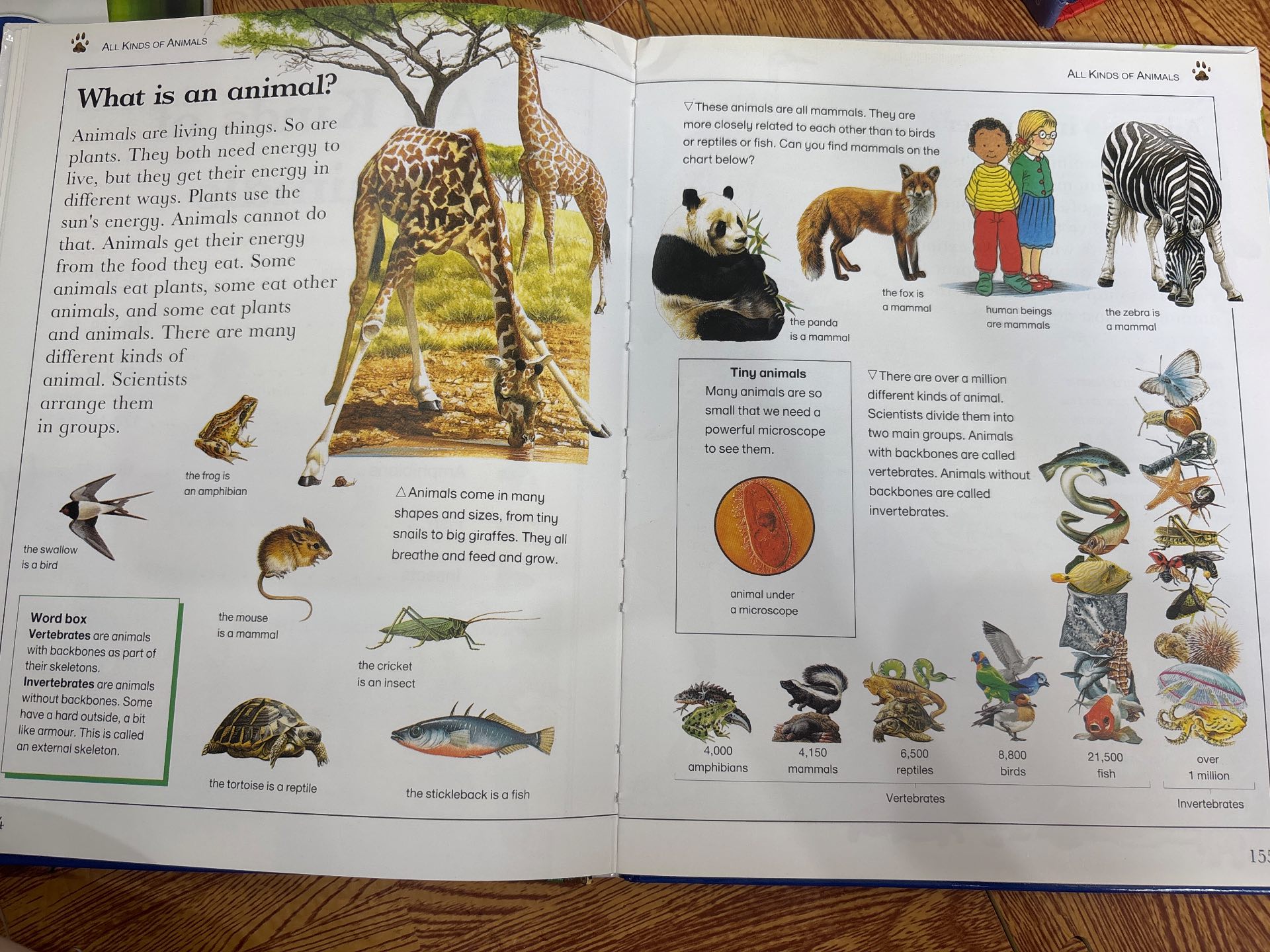 Learning Adventure Library: The Sea — ảnh 5