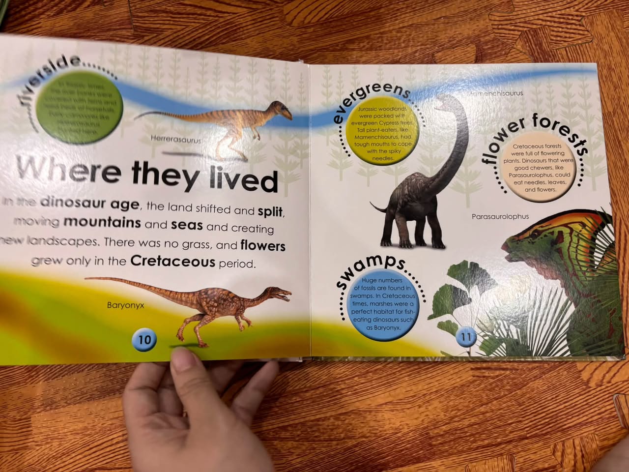 DK FIRST FACTS: DINOSAURS — START A LIFETIME OF LEARNING — ảnh 5