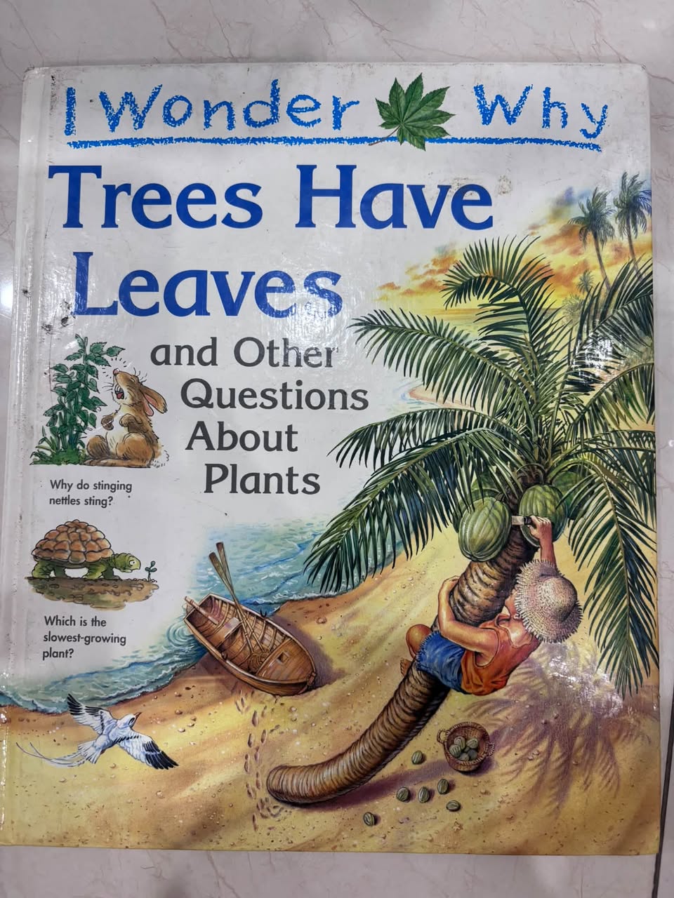 I WONDER WHY TREES HAVE LEAVES AND OTHER QUESTIONS ABOUT PLANTS — ảnh 1