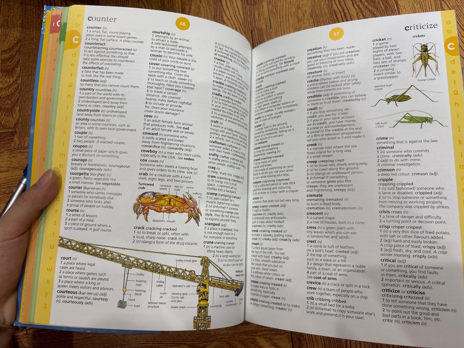 Usborne Illustrated English Dictionary — ảnh 4