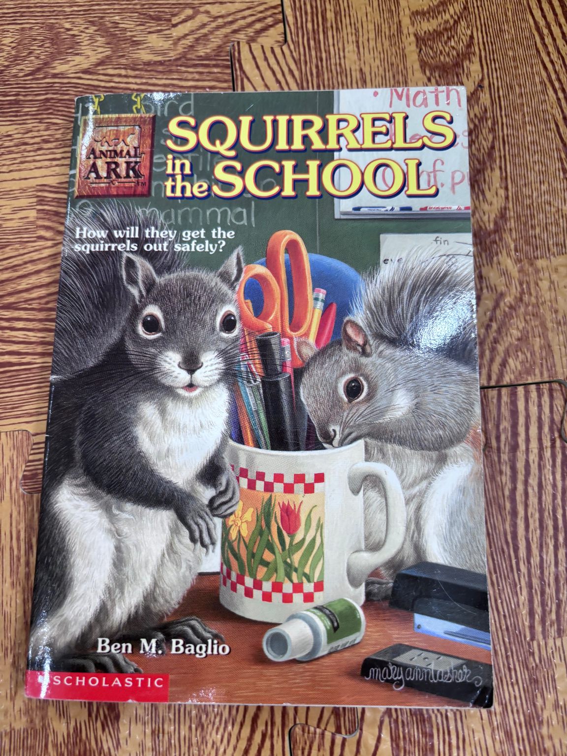 SQUIRRELS in the SCHOOL — ảnh 1