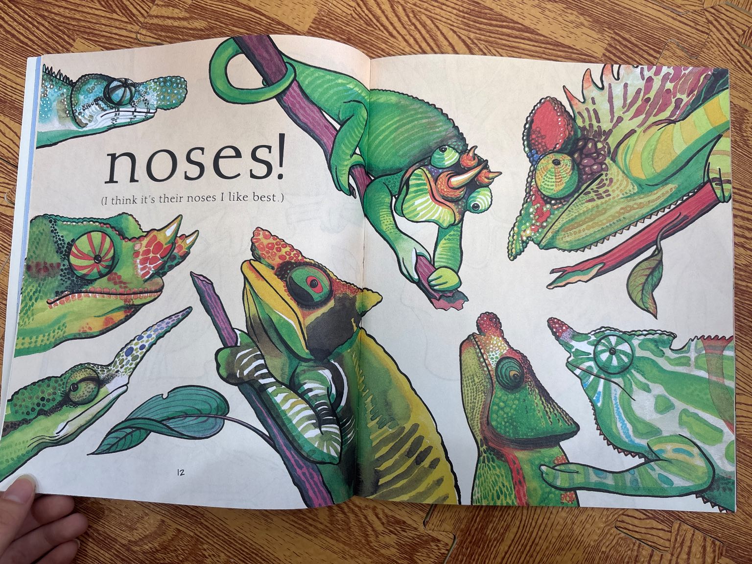 Chameleons Are Cool — ảnh 3