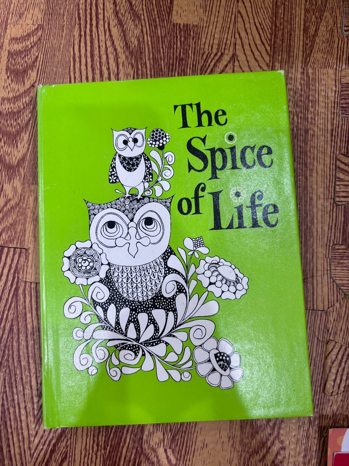 The Spice of Life — ảnh 1