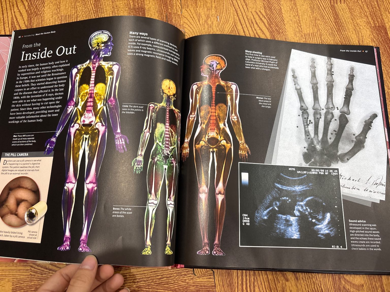 Human Body — ảnh 4