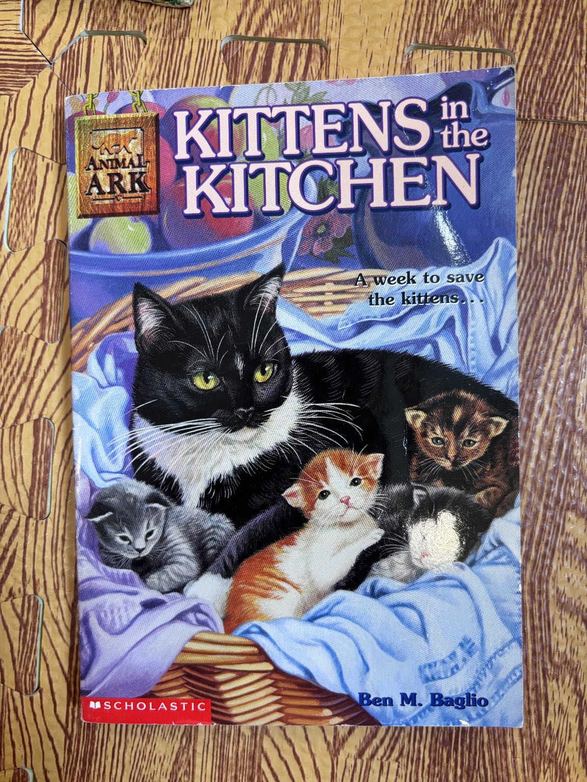 KITTENS in the KITCHEN — ảnh 1