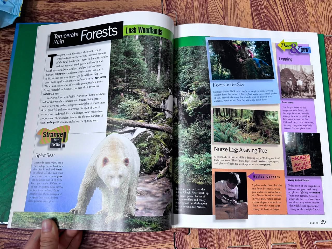 Time Life Student Library: Our Environment — ảnh 2