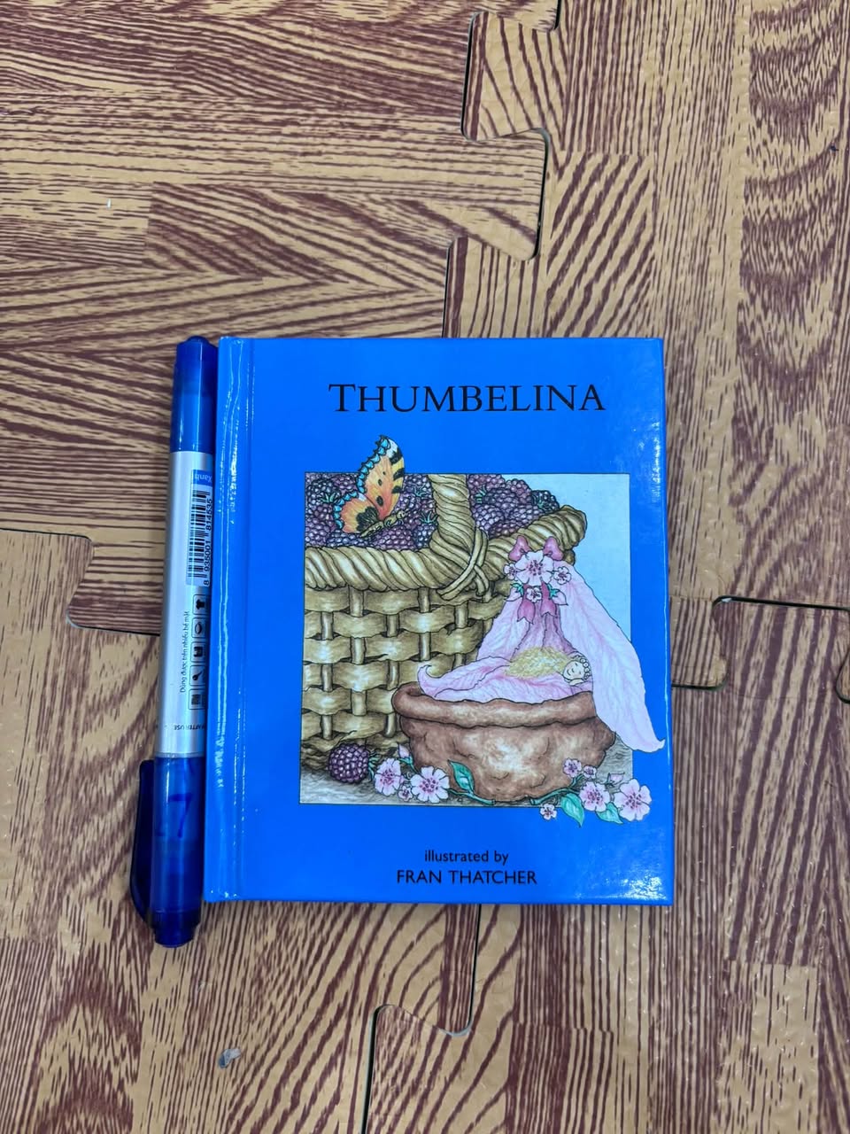 Thumbelina – Illustrated by Fran Thatcher — ảnh 1