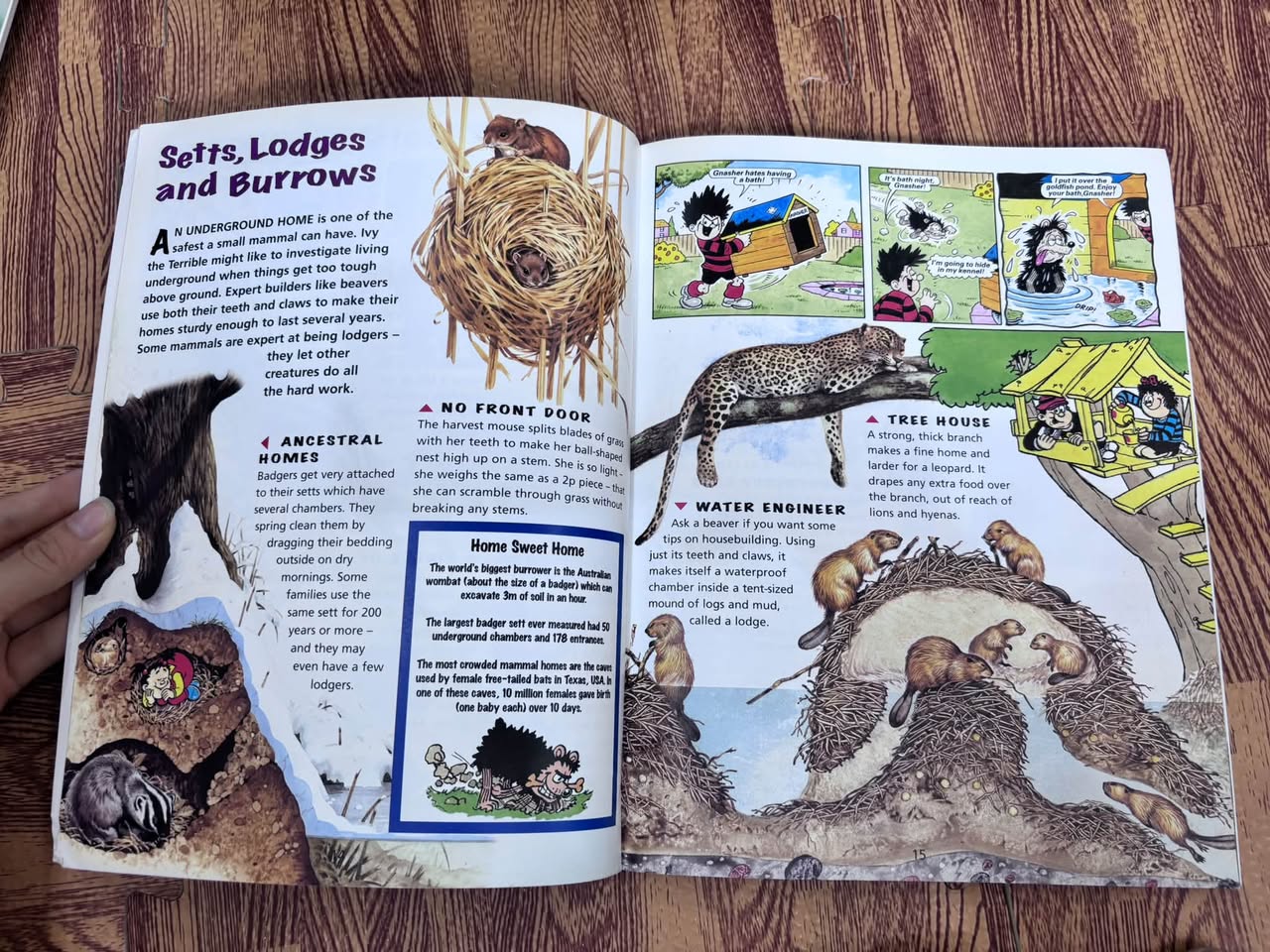 The Beano Book of Amazing Animals — ảnh 3