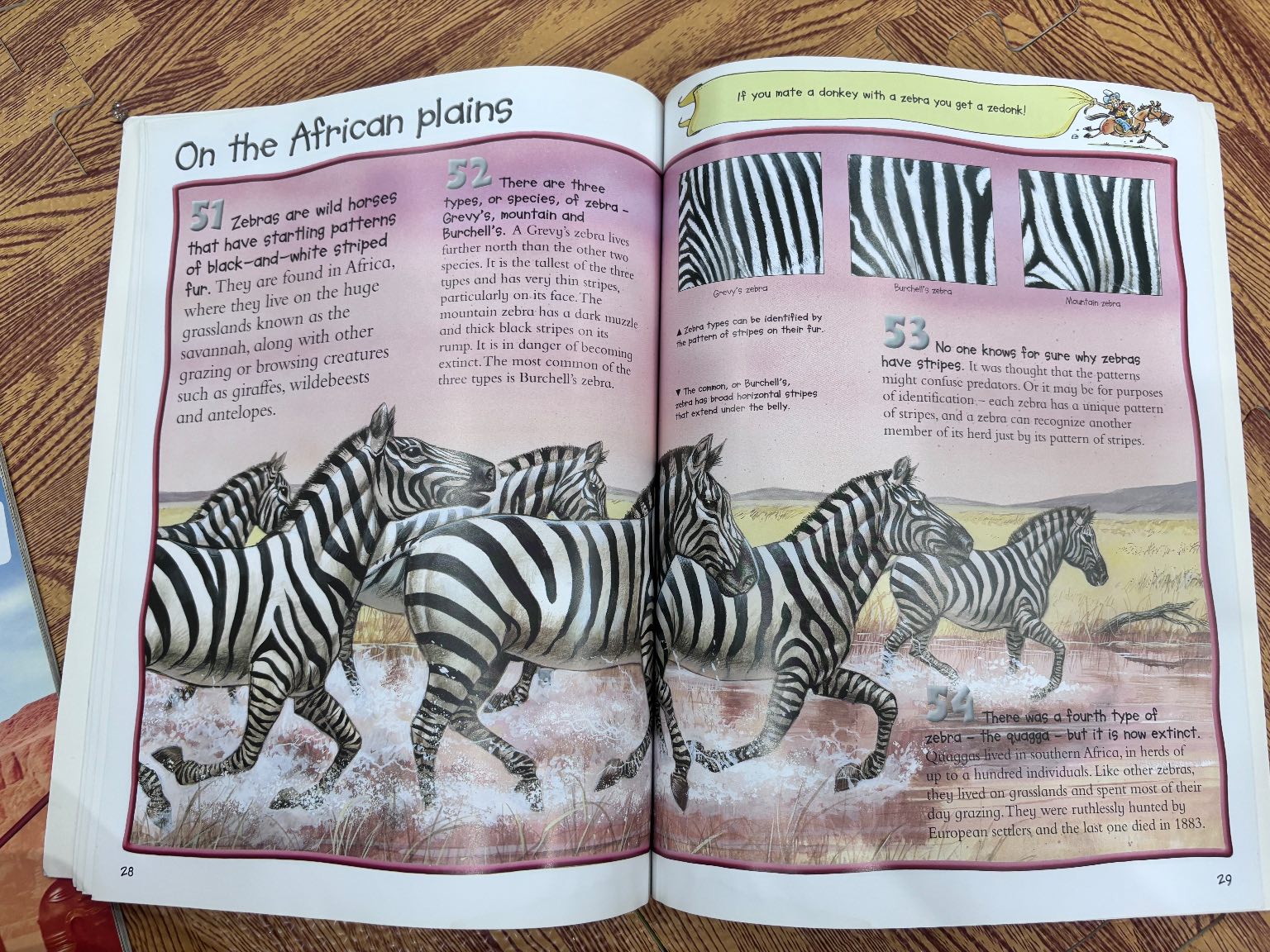 100 facts Horses & Ponies — ảnh 5