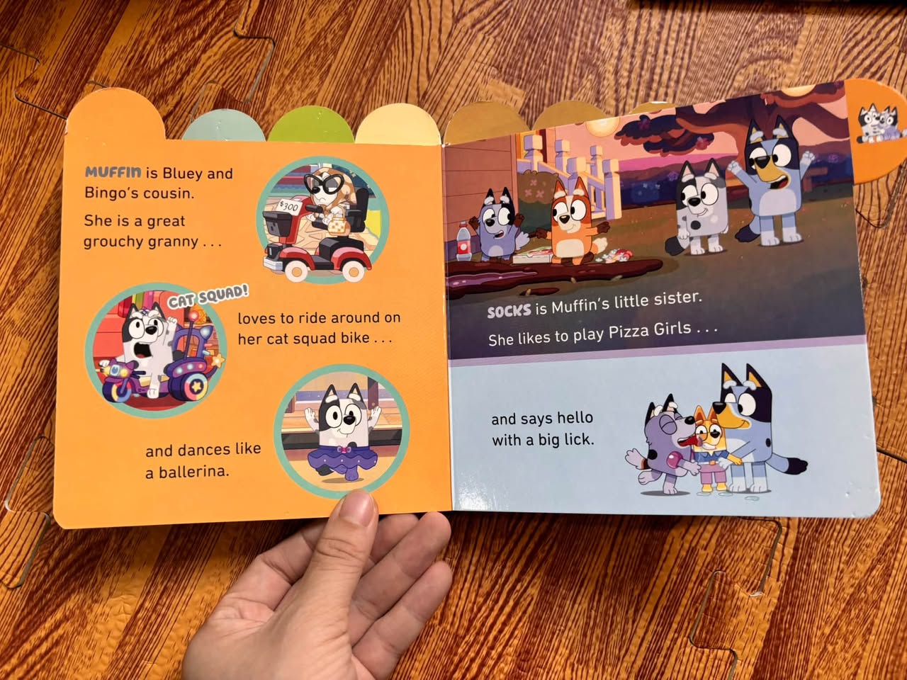 SET 2 CUỐN SÁCH BỒI CỨNG BLUEY (BOARD BOOKS) — ảnh 5