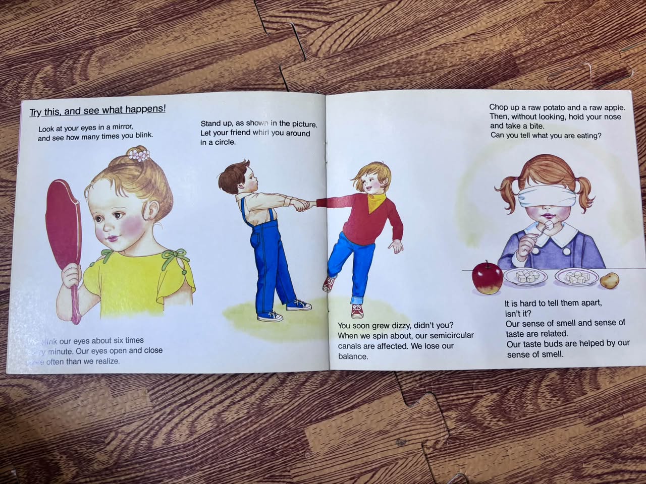 ALL ABOUT OUR BODIES: 4 — OUR EYES, EARS, AND NOSES — ảnh 4