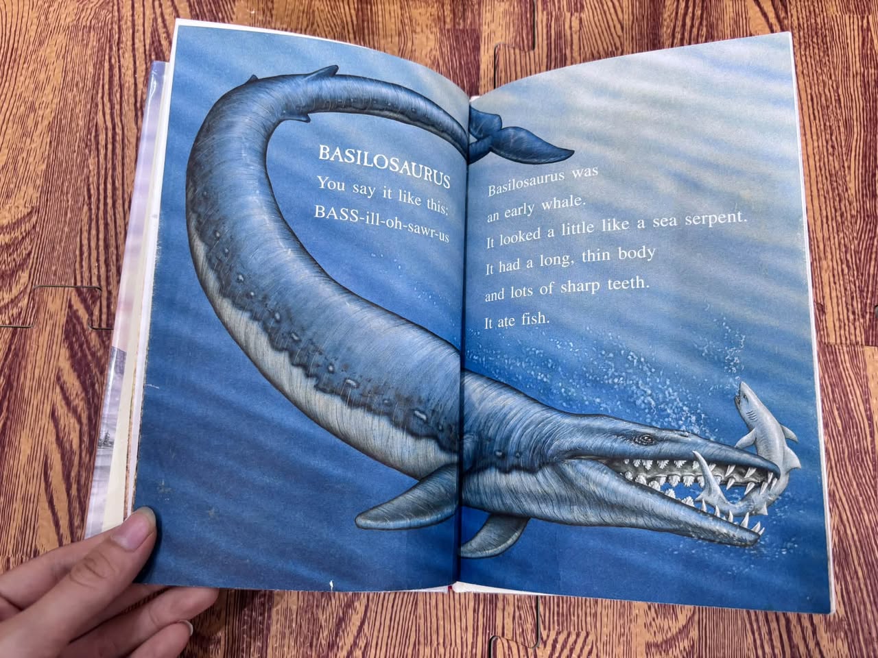 After the Dinosaurs: Mammoths and Fossil Mammals – Charlotte Lewis Brown — ảnh 4