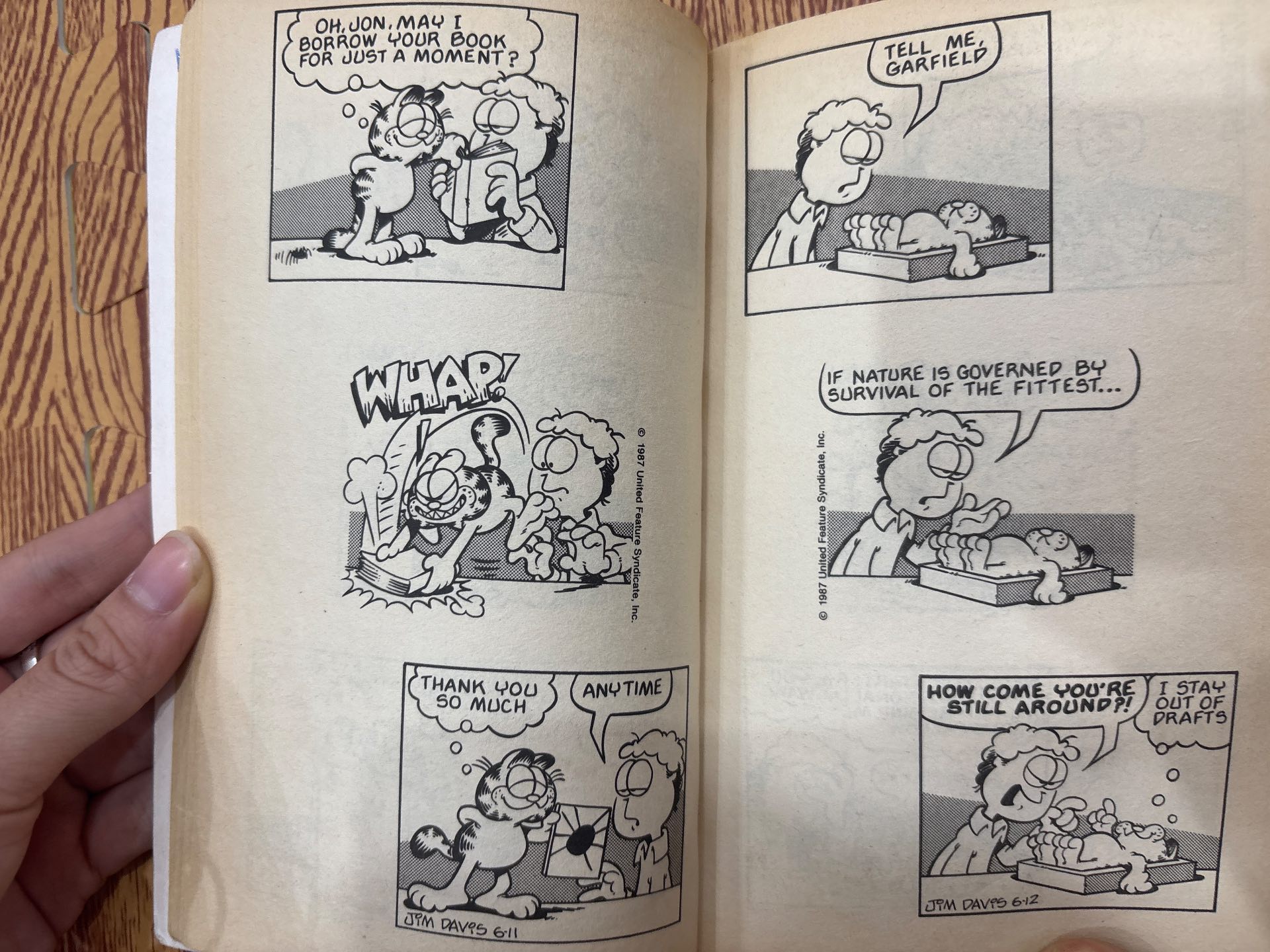 Garfield Flying High — ảnh 2