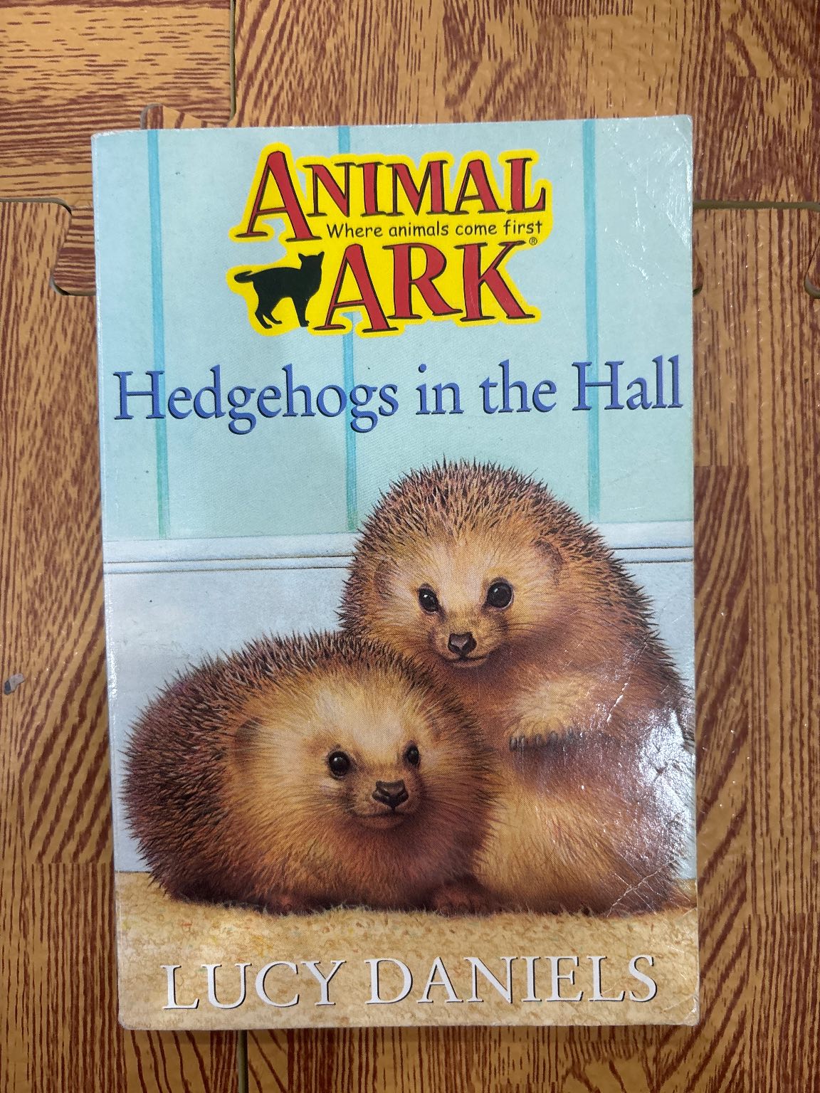 Hedgehogs in the Hall — ảnh 1