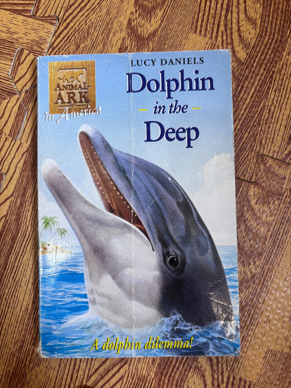 Dolphin in the Deep — ảnh 1