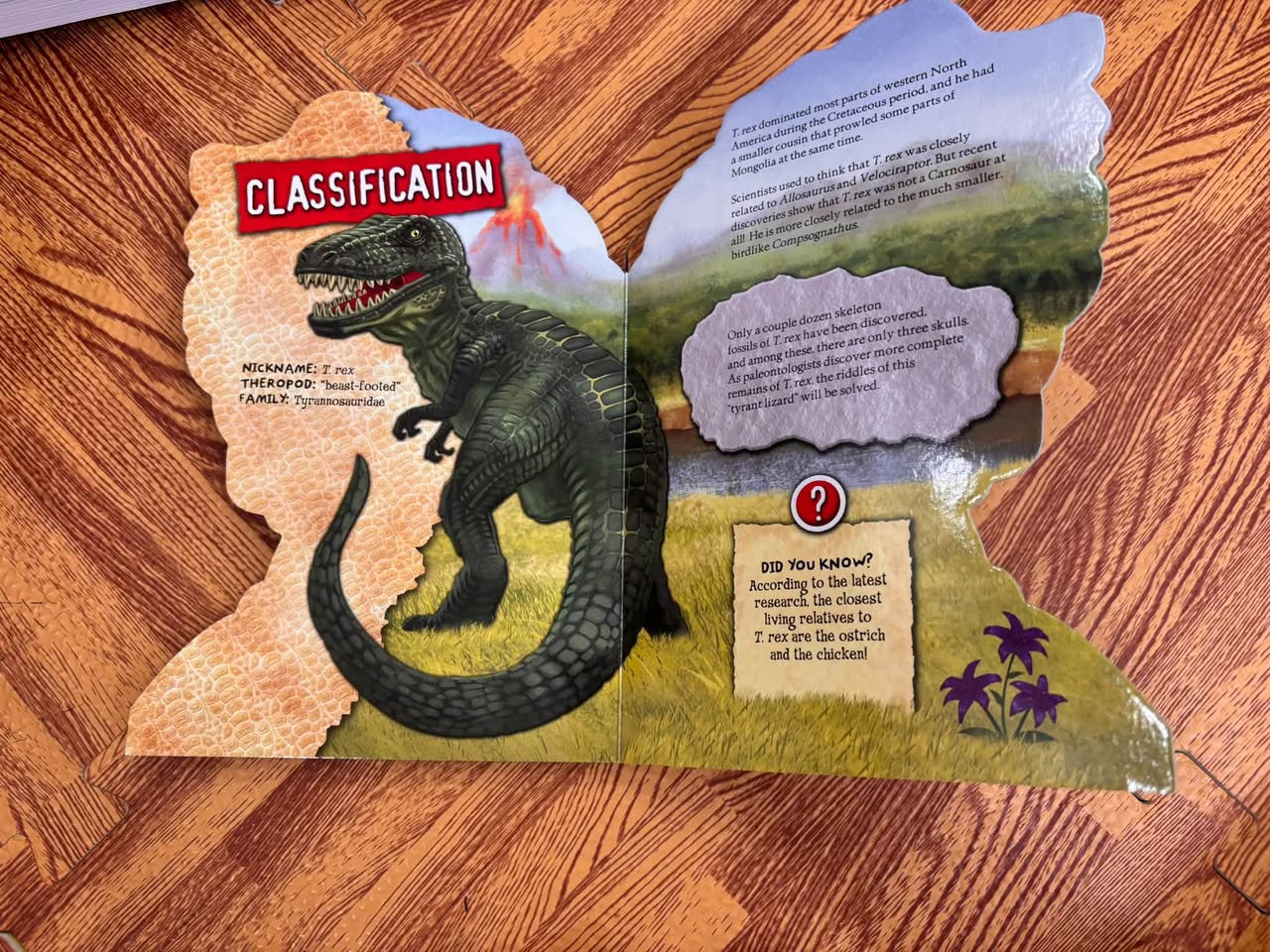 ROAR! TYRANNOSAURUS REX (SHAPED BOARD BOOK) — ảnh 5