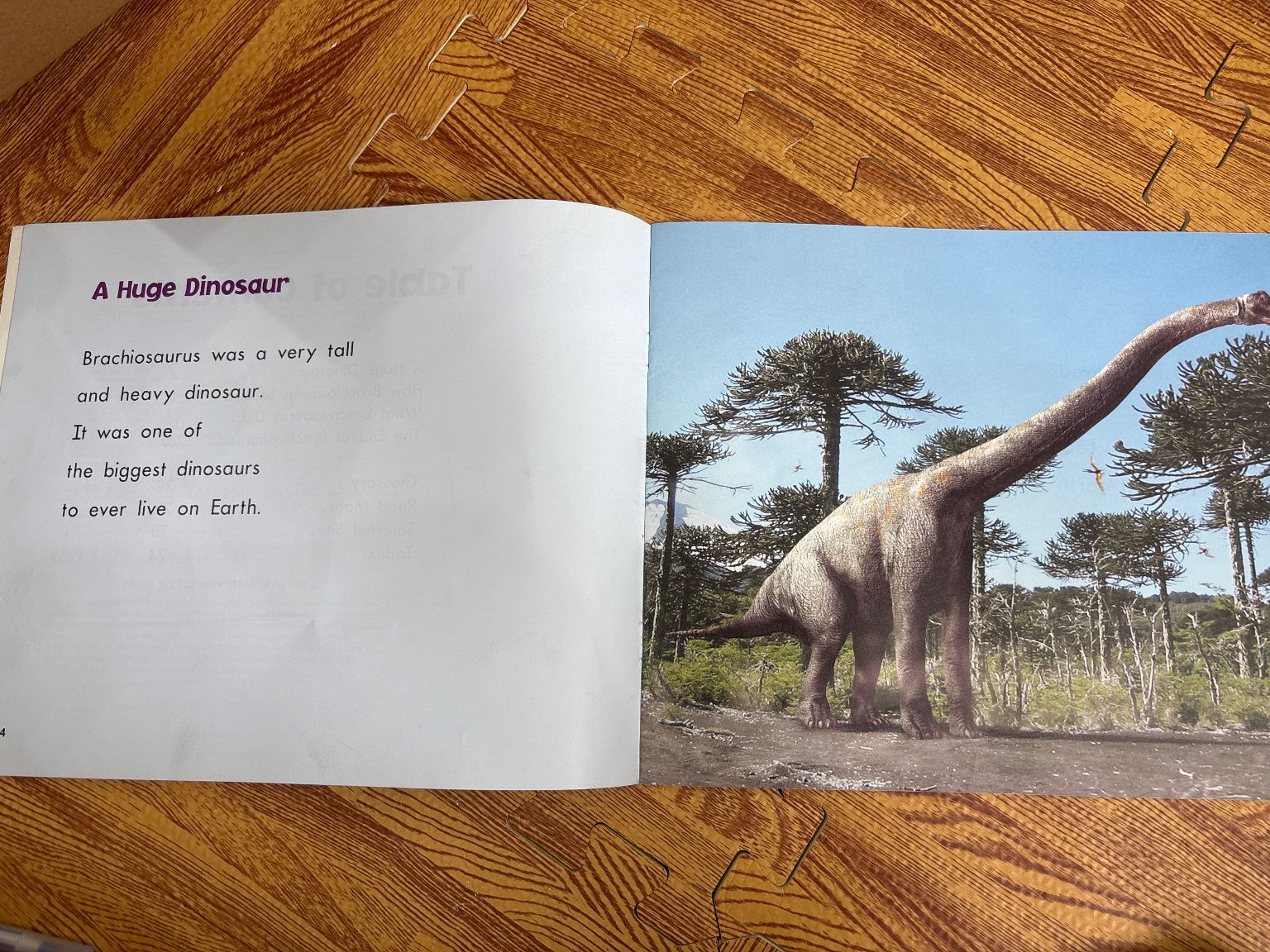 Brachiosaurus — ảnh 2