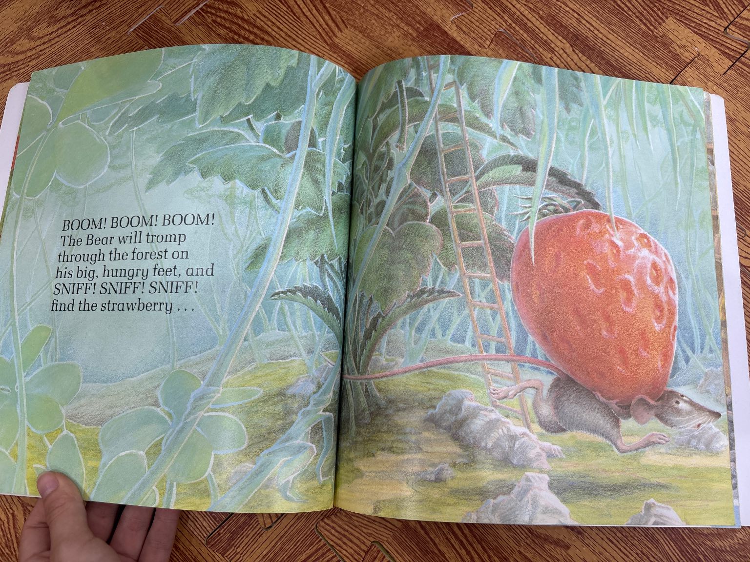 The Little Mouse, The Red Ripe Strawberry, and The Big Hungry Bear — ảnh 3