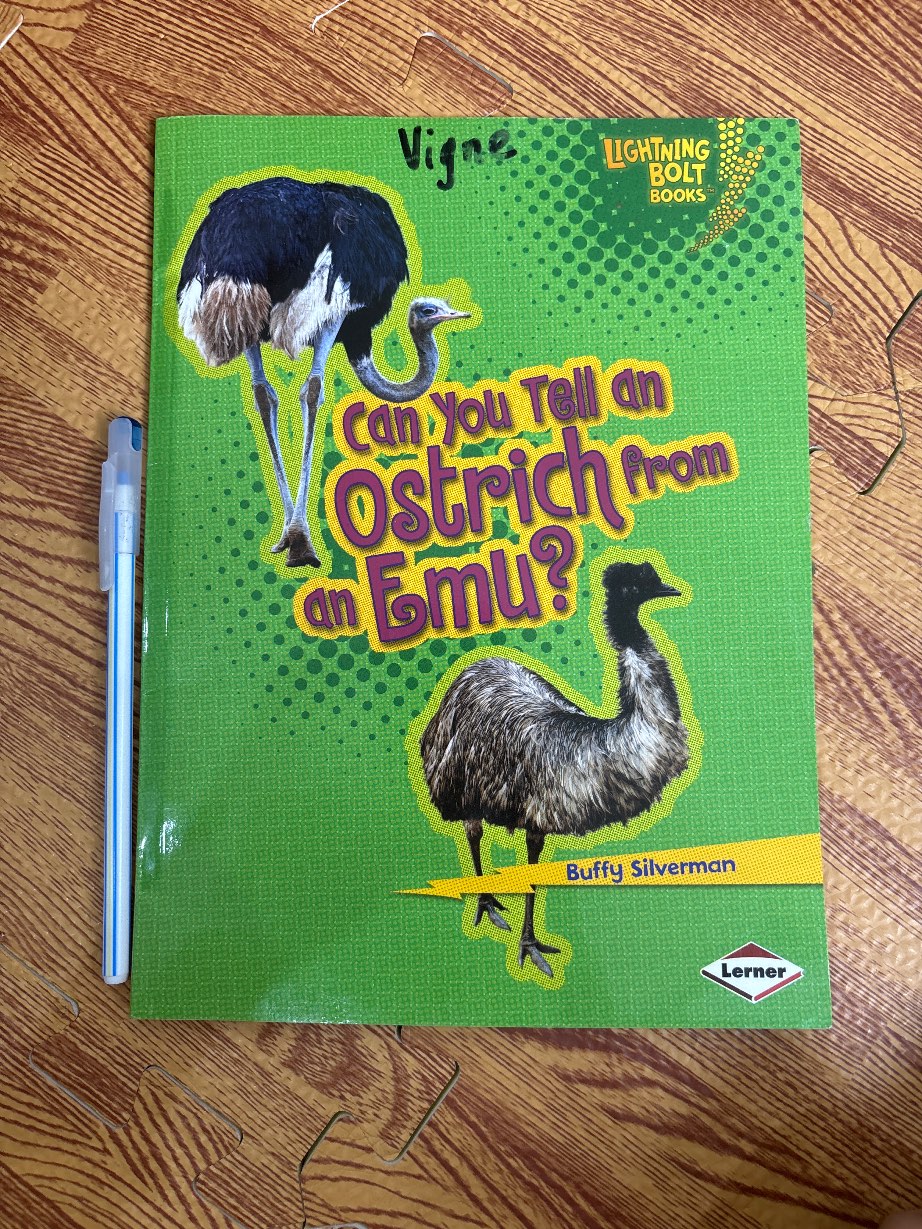 Can You Tell an Ostrich from an Emu?