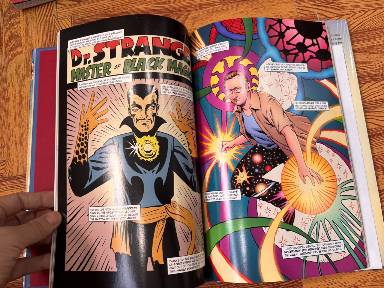 AMAZING FANTASTIC INCREDIBLE: A MARVELOUS MEMOIR (STAN LEE) — ảnh 5