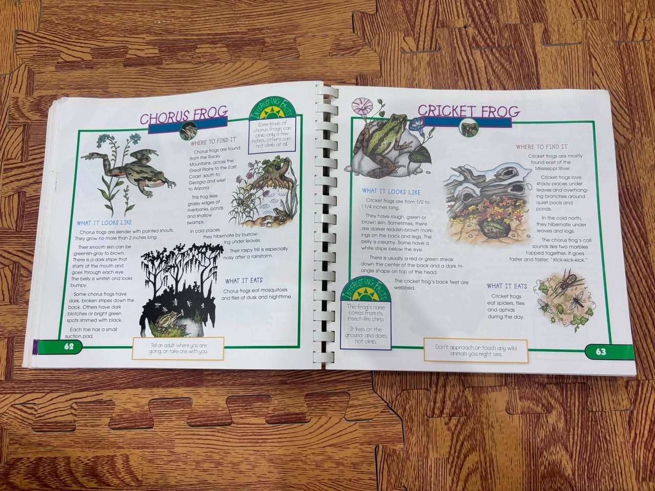 FUN WITH NATURE: TAKE-ALONG GUIDE — ảnh 2