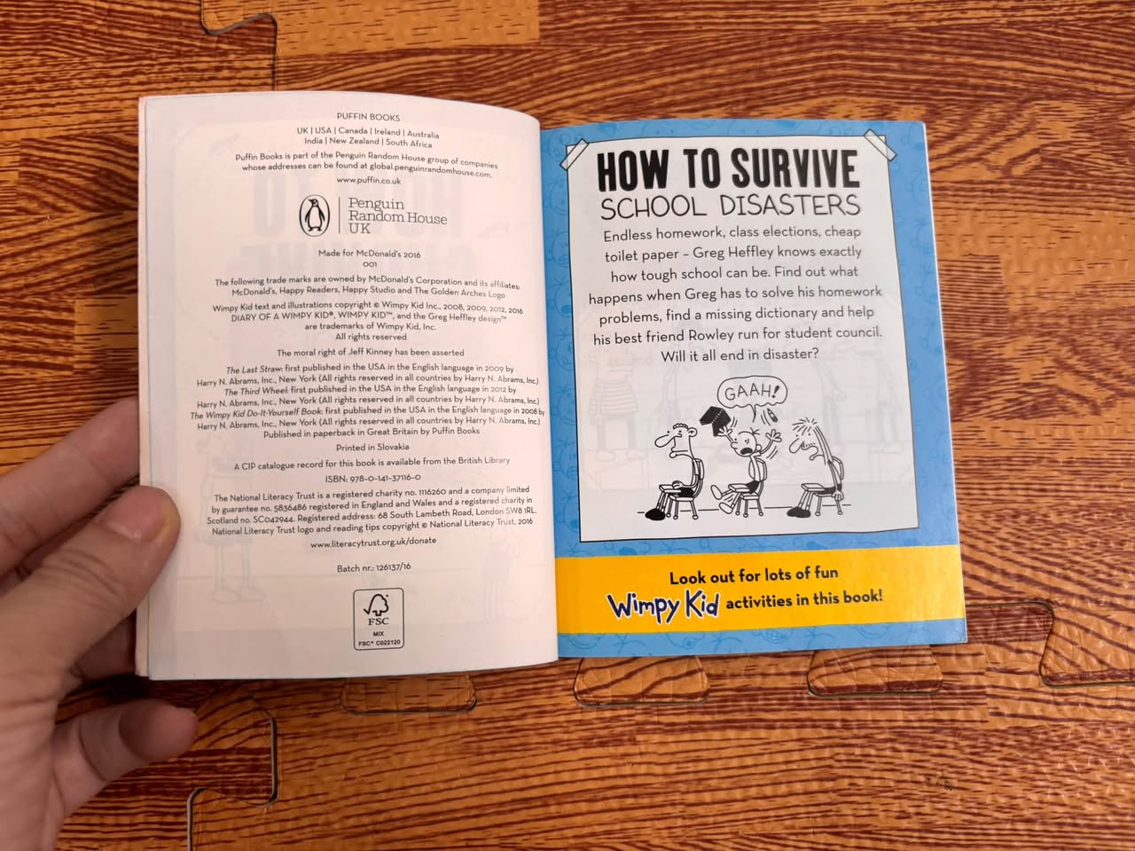 DIARY OF A WIMPY KID: HOW TO SURVIVE SCHOOL DISASTERS (JEFF KINNEY) — ảnh 2