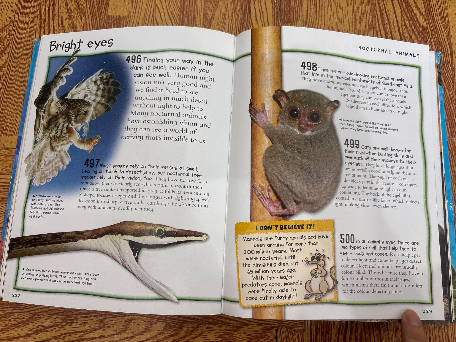 Fantastic Animal Facts — ảnh 7