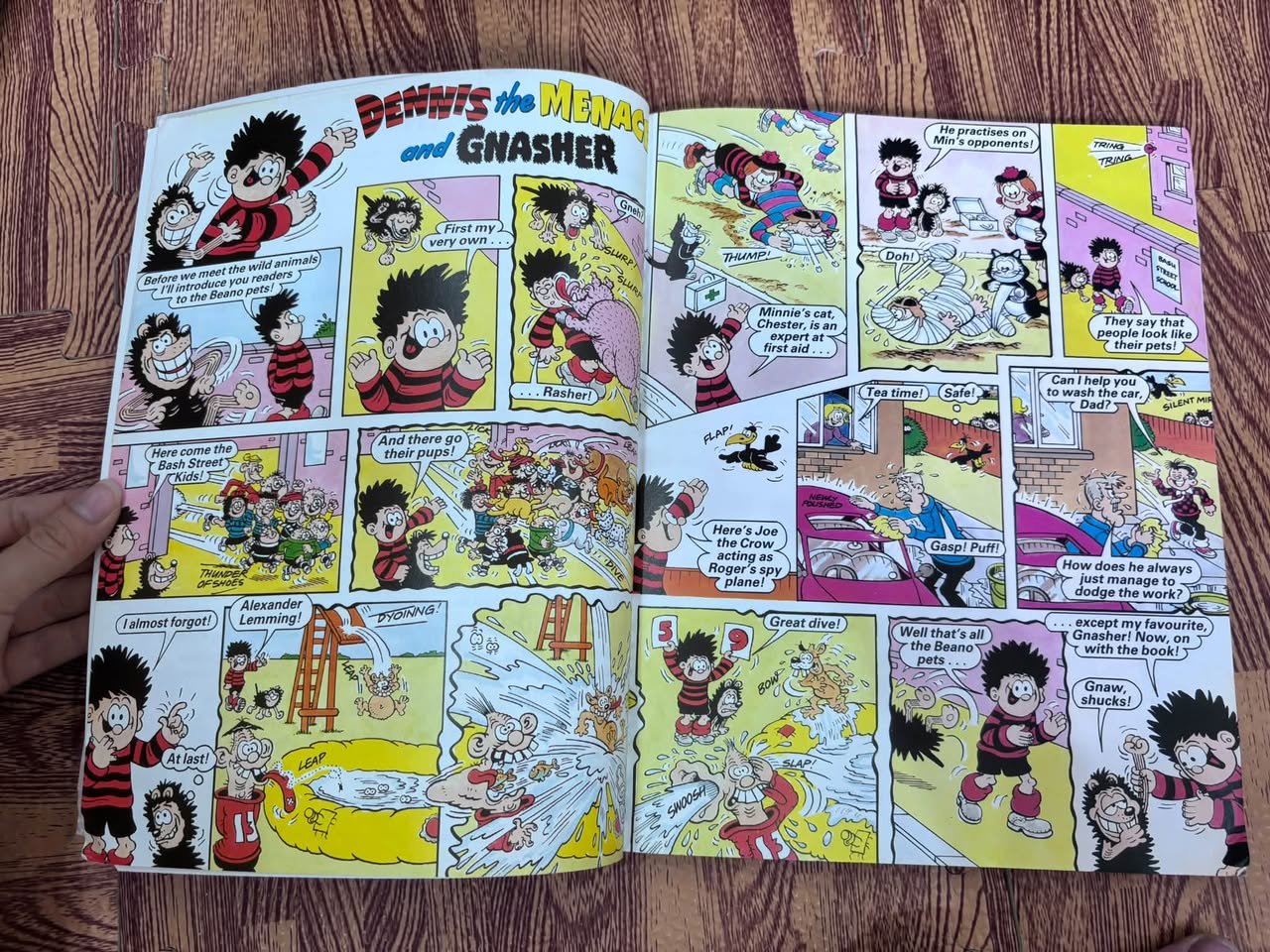 The Beano Book of Amazing Animals — ảnh 4