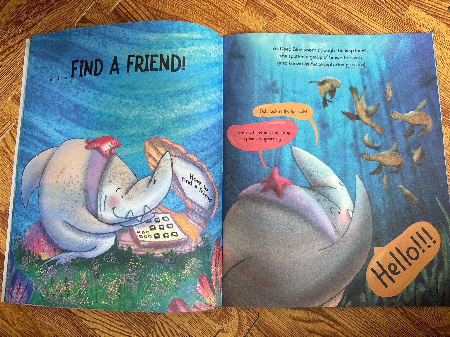 Finding a Friend — ảnh 2