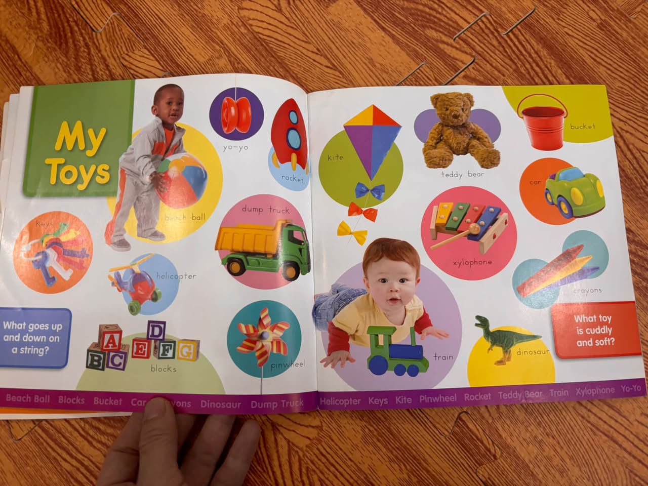 LEARNING PAGES: FIRST WORDS (200+ GREAT VISUAL IMAGES) — ảnh 4