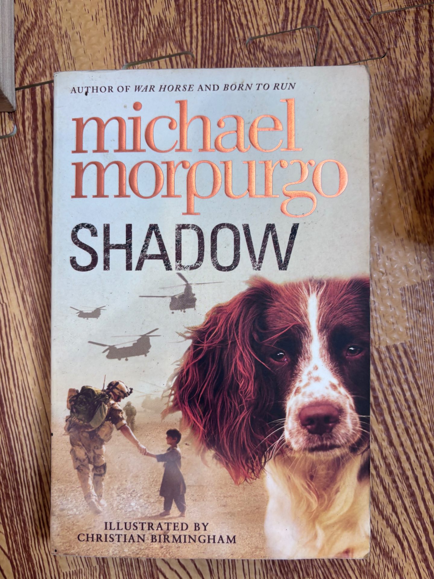 SHADOW — ảnh 1