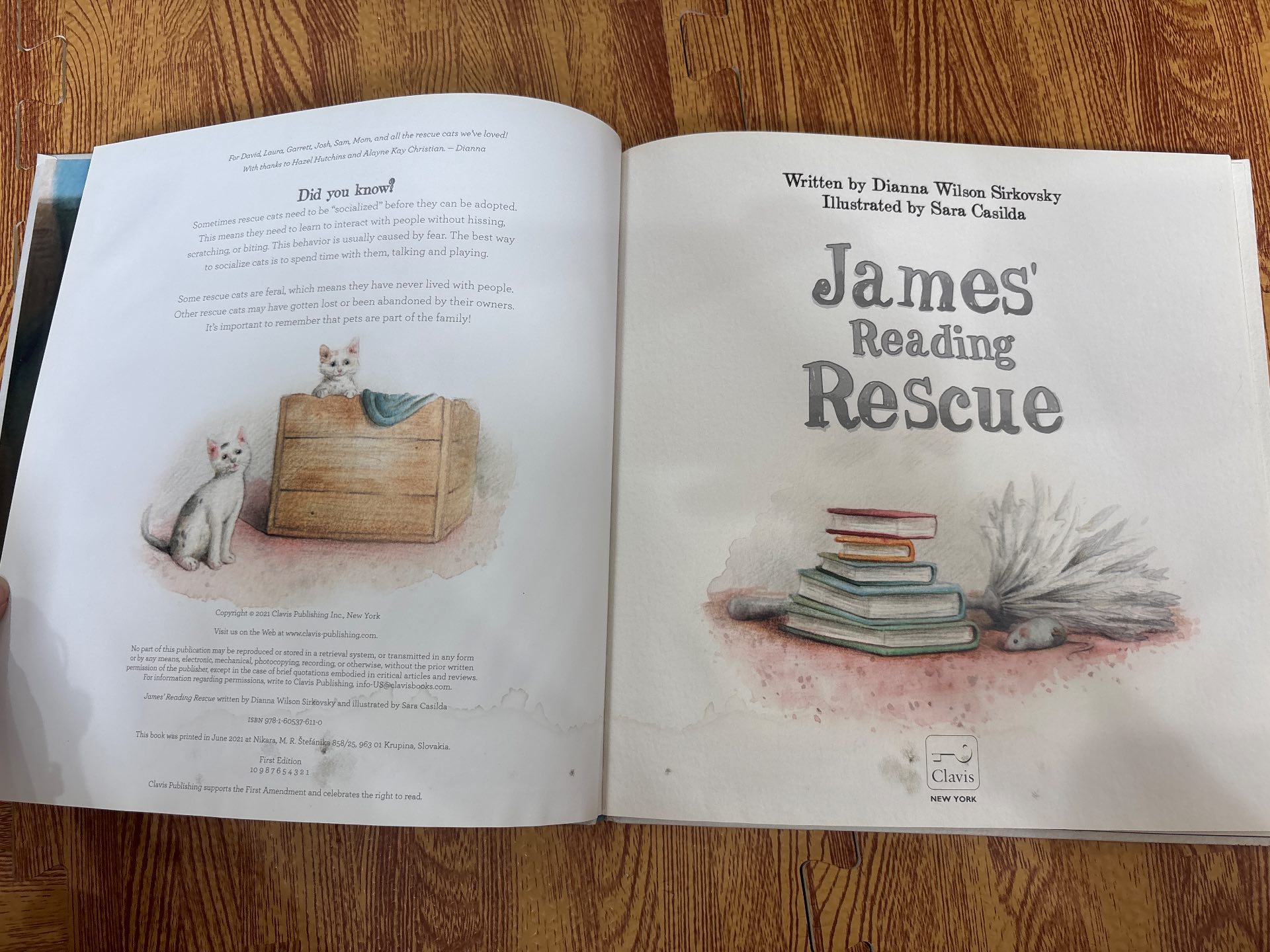 James' Reading Rescue — ảnh 6