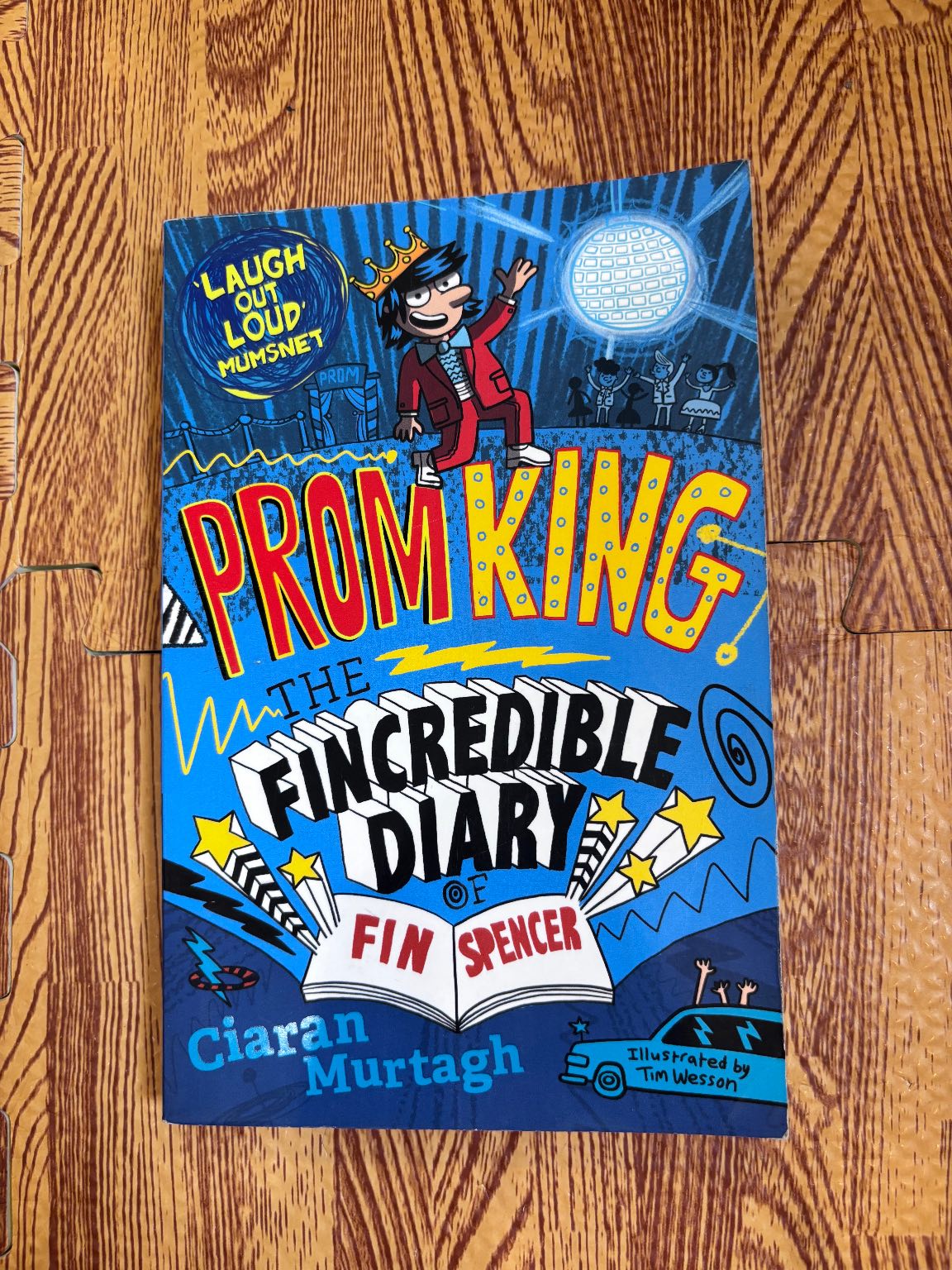 Prom King: The Fincredible Diary of Fin Spencer — ảnh 1