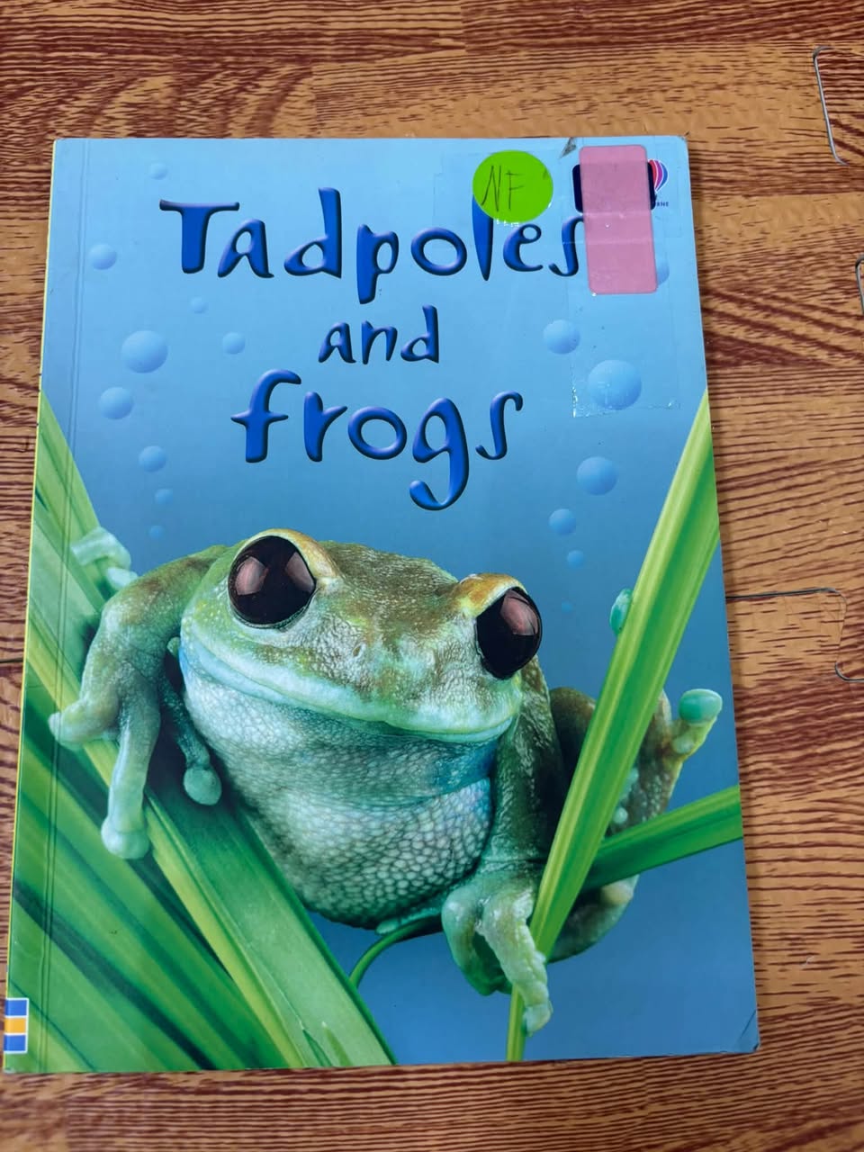 TADPOLES AND FROGS (USBORNE BEGINNERS) — ảnh 1