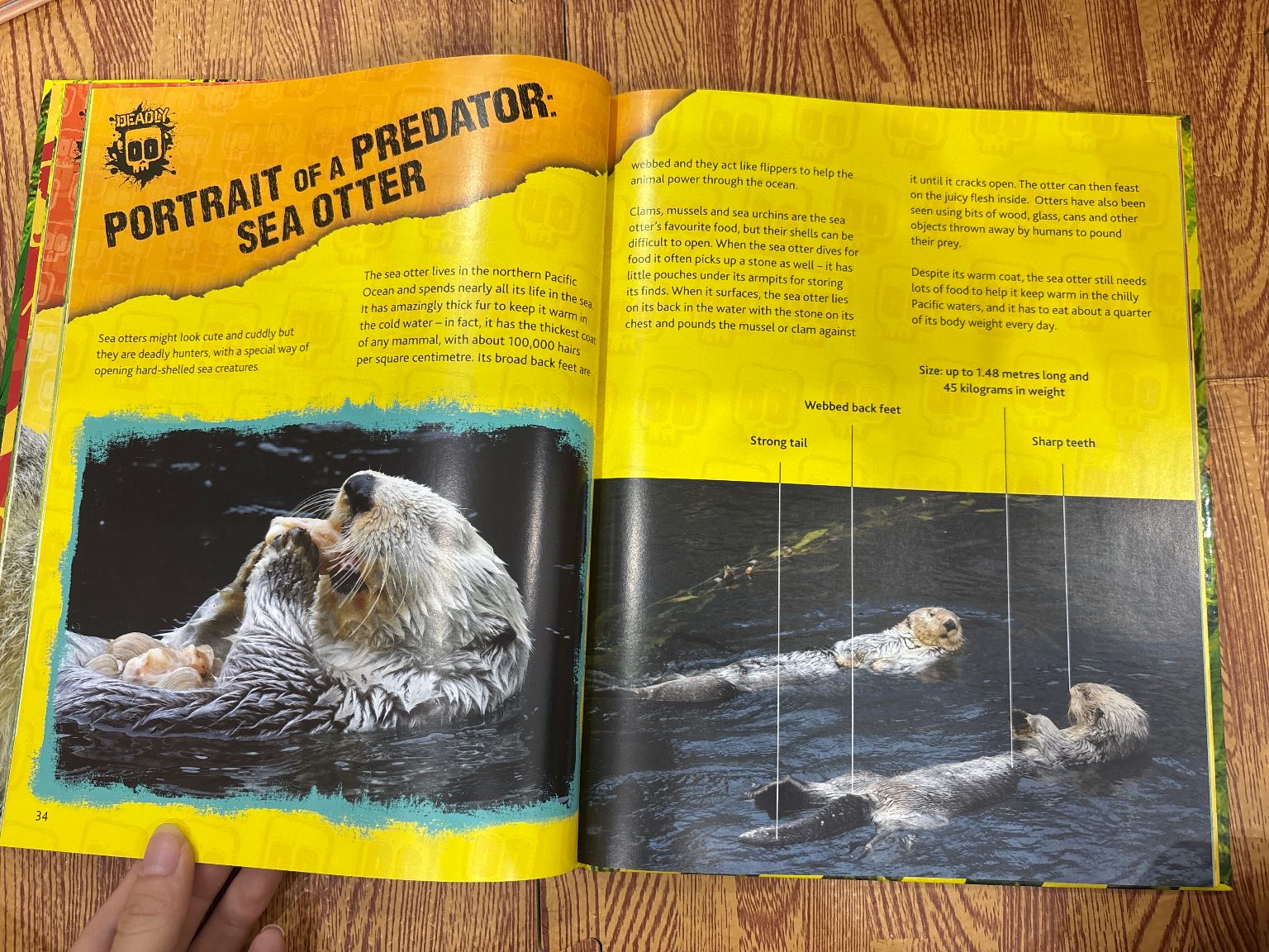 Deadly 2016 Annual — ảnh 3
