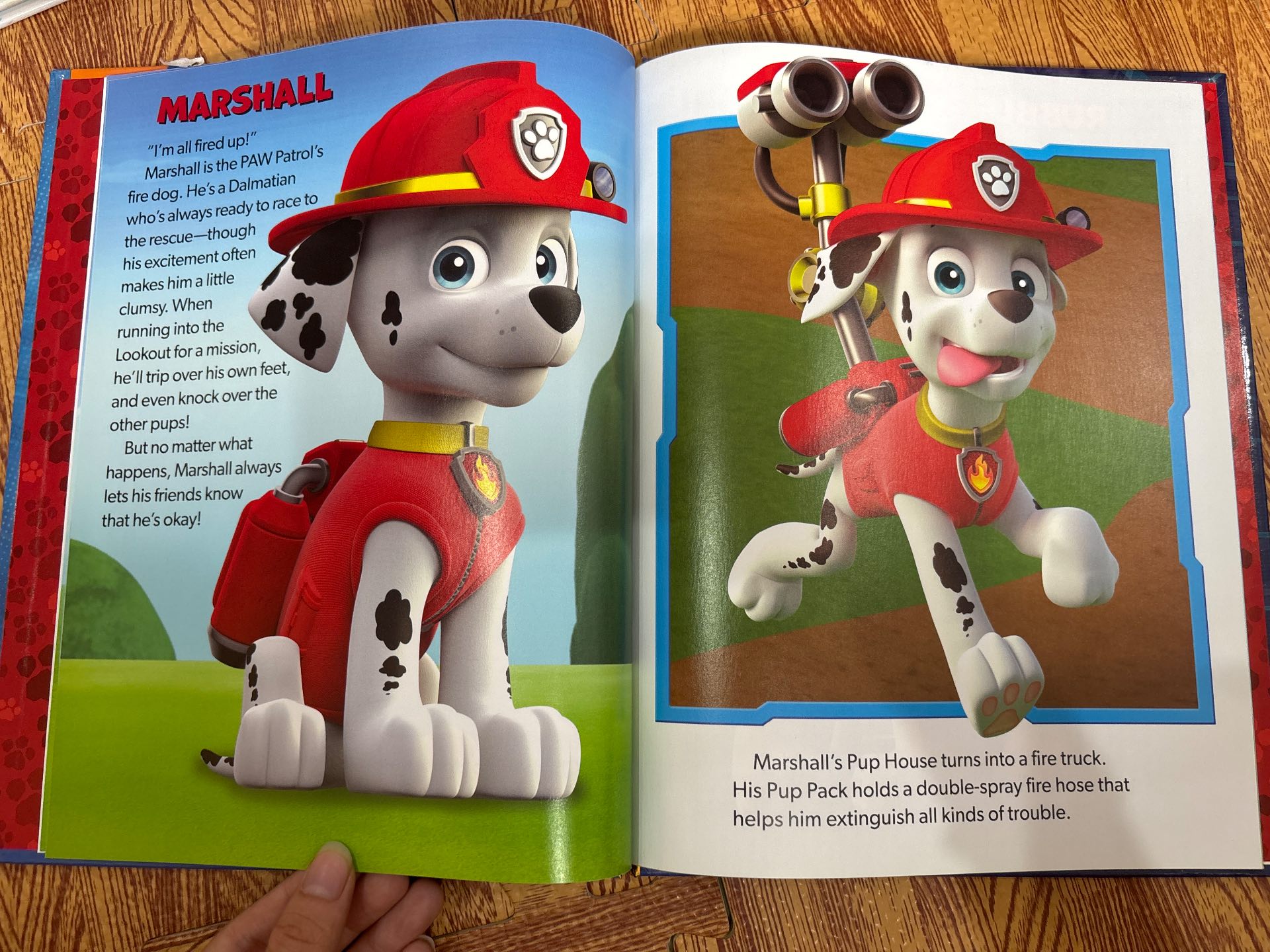 The Big Book of Paw Patrol — ảnh 3
