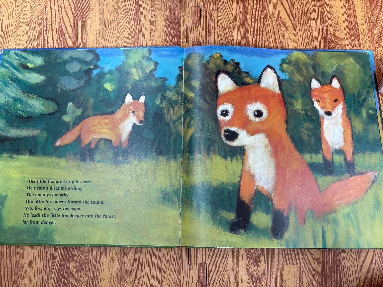 FOX — ảnh 5
