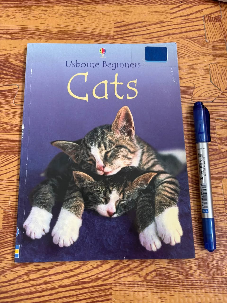Usborne Beginners: Cats — ảnh 1