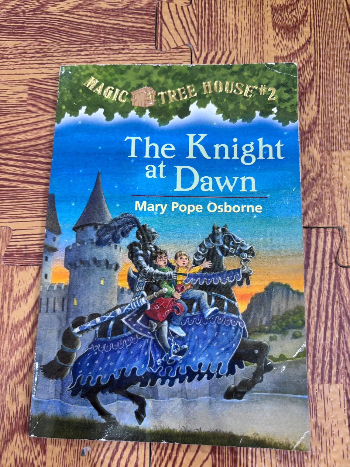 The Knight at Dawn — ảnh 1