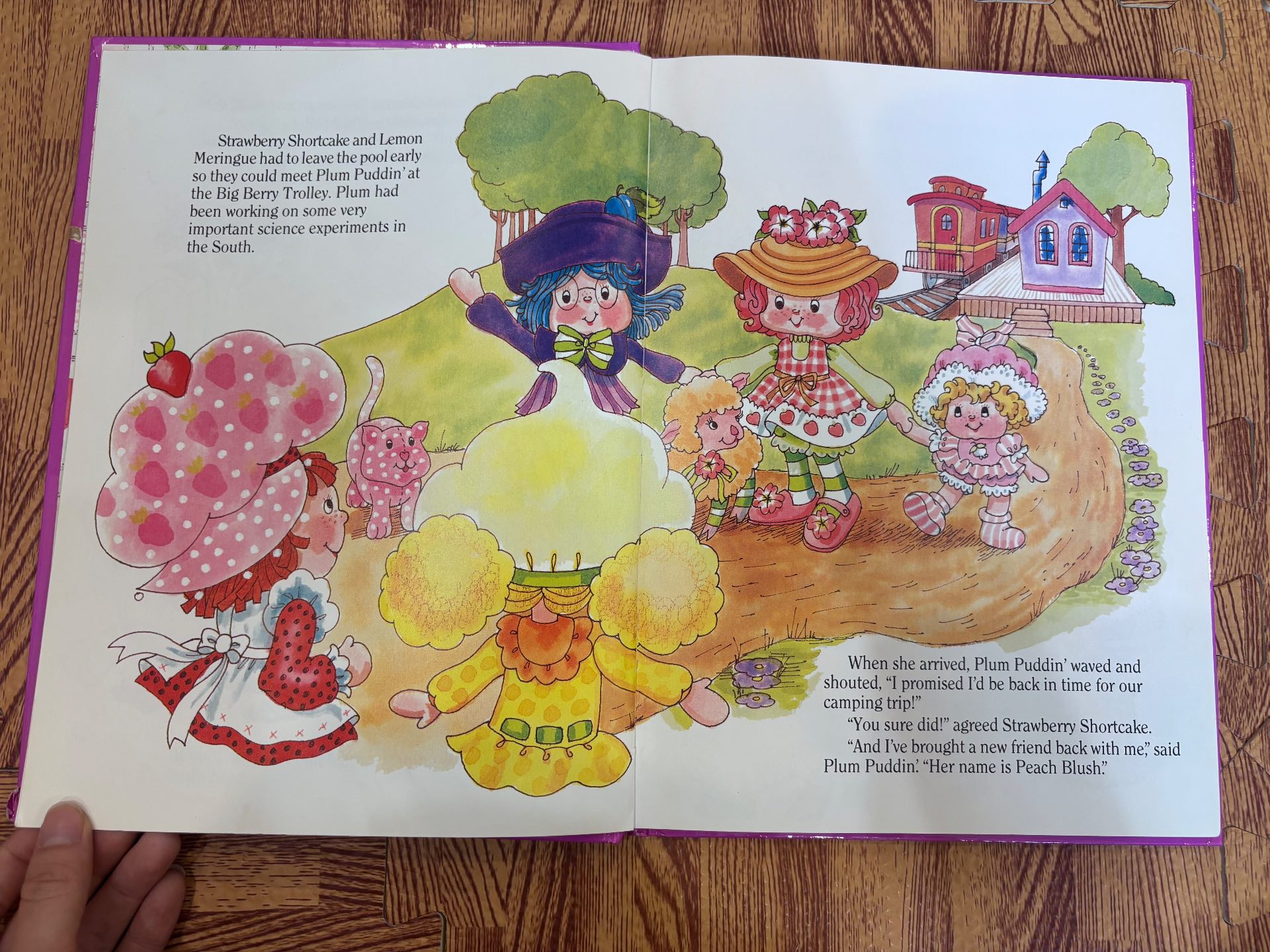 Strawberry Shortcake and Baby Needs a Name — ảnh 7