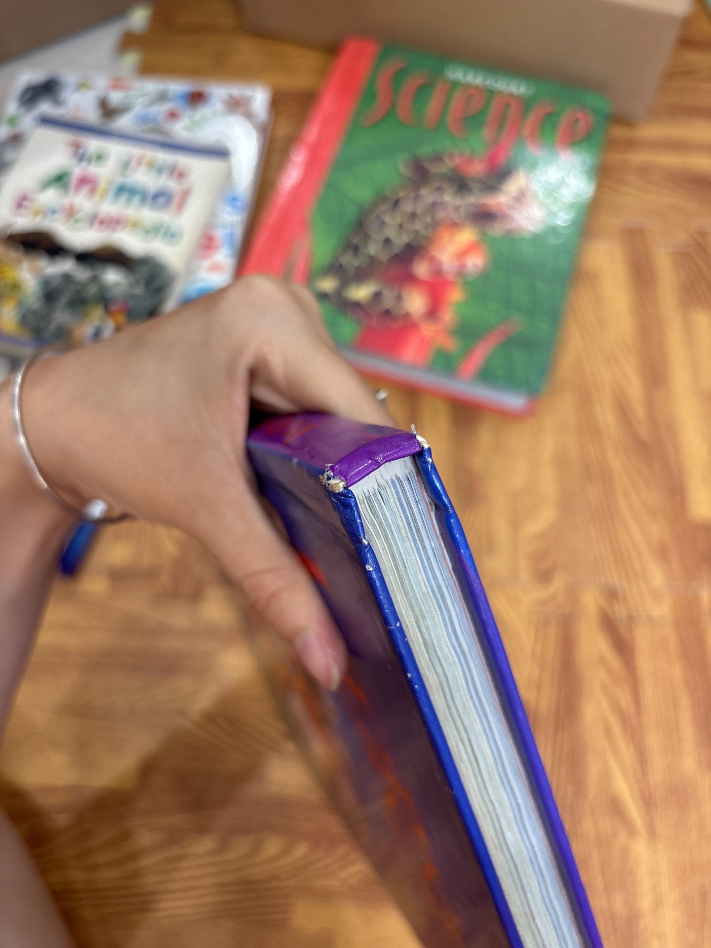 Journeys Common Core — ảnh 8