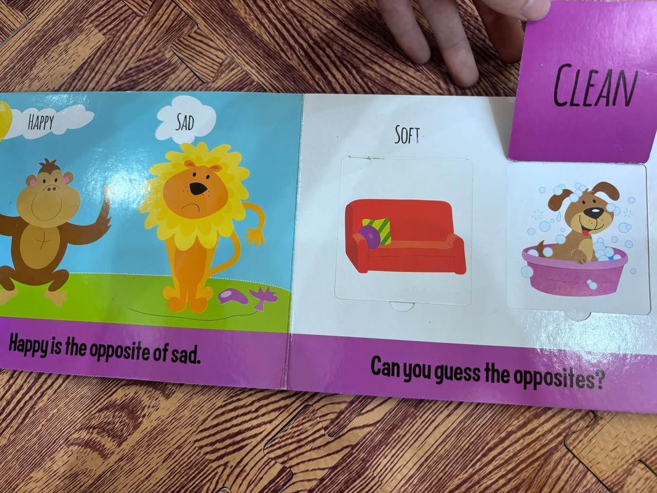 OPPOSITES: EDUCATIONAL LIFT-A-FLAP BOOK — ảnh 5